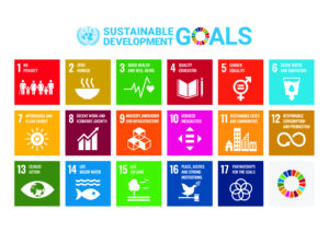 United Nations SDGs